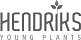 Hendriks Young Plants